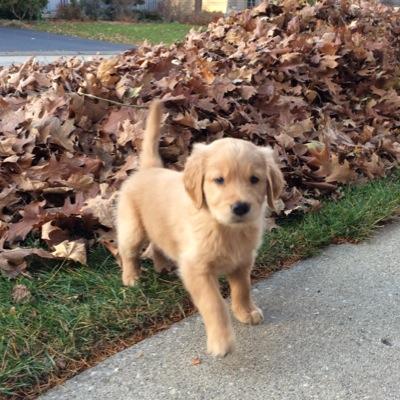 Profile Picture of Mackey Earlon Twitter
