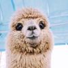 Profile Picture of danielfriese0 (@@sso.lost.sso) on Tiktok