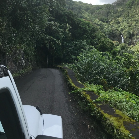 Profile Picture of Sydney Sawchuk (@sydney_sawchuk) on Poshmark