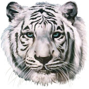 Patrice Boyer - Youtube Profile Picture of Patrice Boyer (@patriceboyer4021) on Youtube