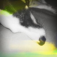 Profile Picture of Shelly Fish (@shelly-fish-2) on Quora