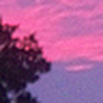 Profile Picture of Jsskfunk (@jsskfunk) on Flickr