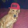 Profile Picture of jared pryor (@@j4r3dp) on Tiktok