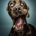 Profile Picture of Eric Buffington (@eric.buffington.14) on Facebook