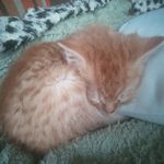 Profile Picture of Paleček Štěpán (@ste.ve_nam.e) on Instagram