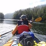 Profile Picture of Kelly Matthies (@kelly.matthies) on Instagram
