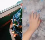 Profile Picture of   Diane Ledger (@dianeledger)... (@dianeledger) on Tiktok