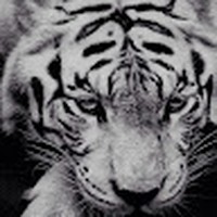 Profile Picture of Tariq Durgapersad (@tariq-durgapersad) on Quora