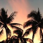 Profile Picture of Kristine Schwab Tudor (@kristine.s.tudor) on Instagram