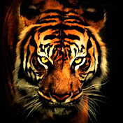 Profile Picture of Alexander Grom (@alexandergrom5403) on Youtube