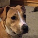 Profile Picture of DJ Maurice (@dustinmaurice4) on Instagram