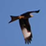 Profile Picture of Alituff (@alituff) on Flickr