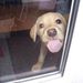 Profile Picture of Kenneth Winder (@kennethwinder) on Pinterest