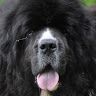 Profile Picture of Jim Pollack (@docpollack) on Pinterest