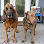 Profile Picture of Johan Oehme (@oehmejohan) on Instagram