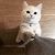 Profile Picture of qiao zhang (@jasondouji) on Pinterest