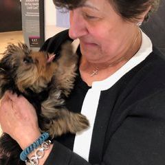 Profile Picture of Therese Kasparian (@theresekasparian) on Tiktok