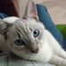 Profile Picture of Glenda Driver (@glenda.driver.395) on Facebook