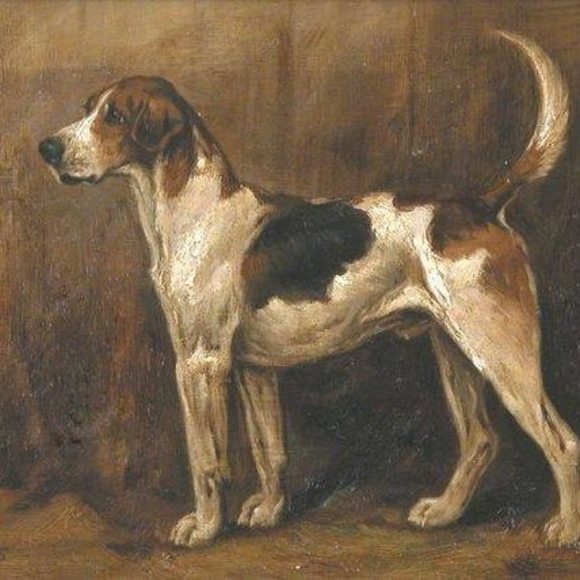 Profile Picture of Kelley Milsop (@op6334237) on Poshmark