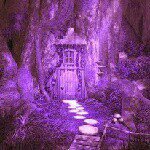 Profile Picture of Plum Forest (@plum_forest) on Instagram