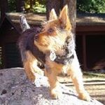 Profile Picture of John Mcmurtry (@john.mcmurtry) on Instagram