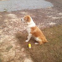 Profile Picture of Sheryl Lowery (@sheryl-lowery) on Quora