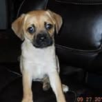 Profile Picture of Glenn Farner (@glenn.farner.9) on Facebook