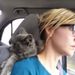 Profile Picture of Amanda Orme (@mandasue1) on Pinterest