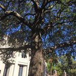 Profile Picture of kassidy bennett (@kashrew) on Instagram