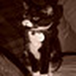 Profile Picture of Amanda Abbott (@aga69) on Flickr