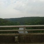 Profile Picture of Robert Genovese (@robertgenovese1980) on Instagram