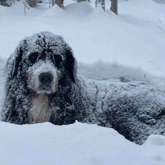 Profile Picture of Julianna Cameron (@juliannacameron) on Poshmark