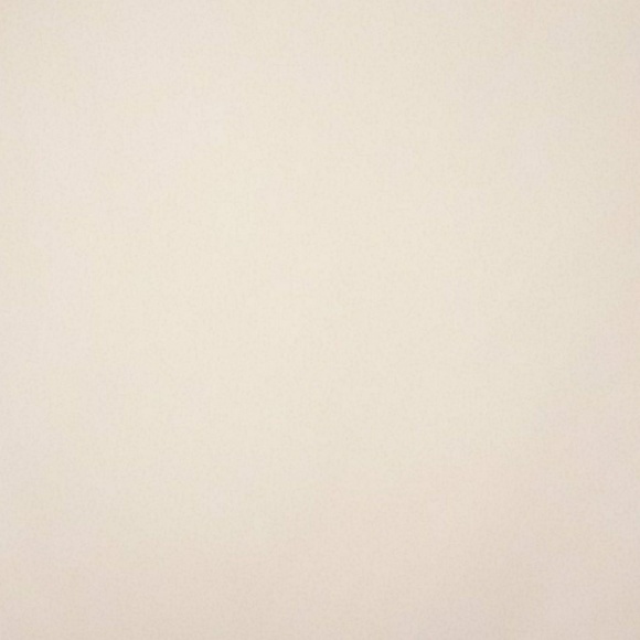 Profile Picture of Casey Diakow (@diakowcasey) on Poshmark