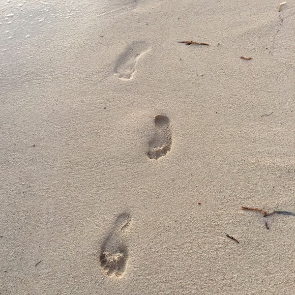 Profile Picture of Christa Everhart (@christaeve) on Poshmark