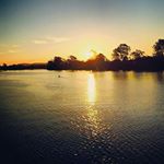 Profile Picture of David Benioff (@david_benioff) on Instagram