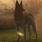 Profile Picture of Eric Cooley (@ericcooley9161) on Youtube