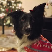 Profile Picture of Alex Velasco (@DroidArmory) on Youtube