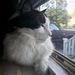 Profile Picture of Casey Plonski (@plonski) on Pinterest