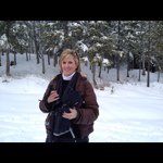 Profile Picture of Stacey Adair (@staceyadair) on Instagram