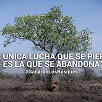 Profile Picture of Carlos Daniel Chavez Quezadas (@cchavezquezadas) on Pinterest