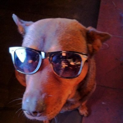 Profile Picture of Duncan Moran (@badsmpd) on Twitter