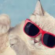 Profile Picture of Tanya Rodriguez (@tanyarodriguez2535) on Youtube