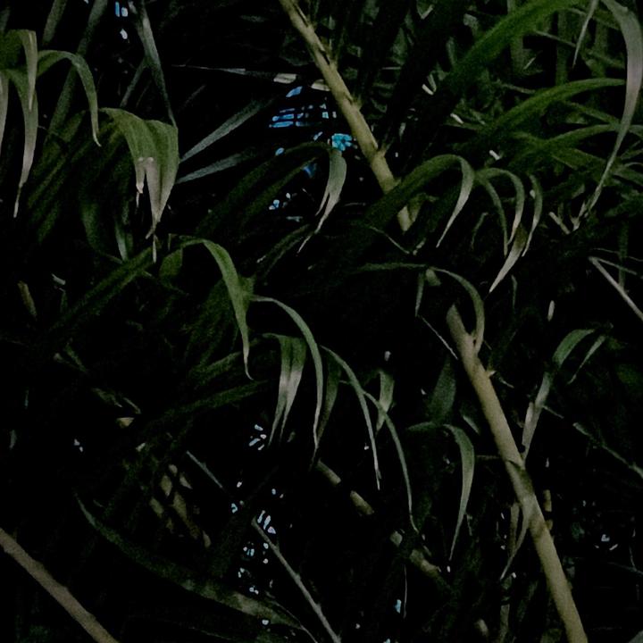 Profile Picture of oliviaaconklin (@@oliviaaconklin) on Tiktok