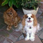 Profile Picture of Kim Purdum (@purdum) on Pinterest