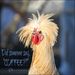 Profile Picture of Carol Engle (@carolengle) on Pinterest