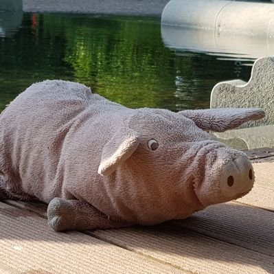Profile Picture of Tom Tauscher (@TomTau71) on Twitter