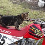 Profile Picture of Jason Brownell (@jesusfuck2019) on Instagram