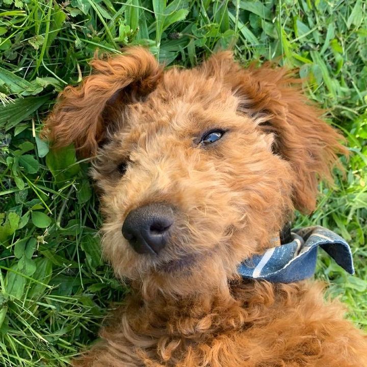 Profile Picture of James Crispy✨🤎 (@jamescrispy3) on Tiktok