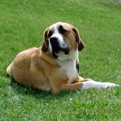 Profile Picture of Alex Zaika (@alex_zaika) on Twitter