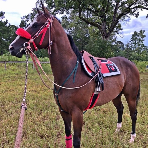 Profile Picture of Brandon Shedrick (@obeyking98) on Poshmark